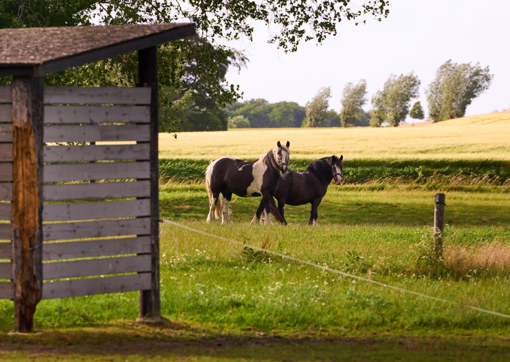 Hotel Hesselgaard Glamping à Dalby Extérieur photo