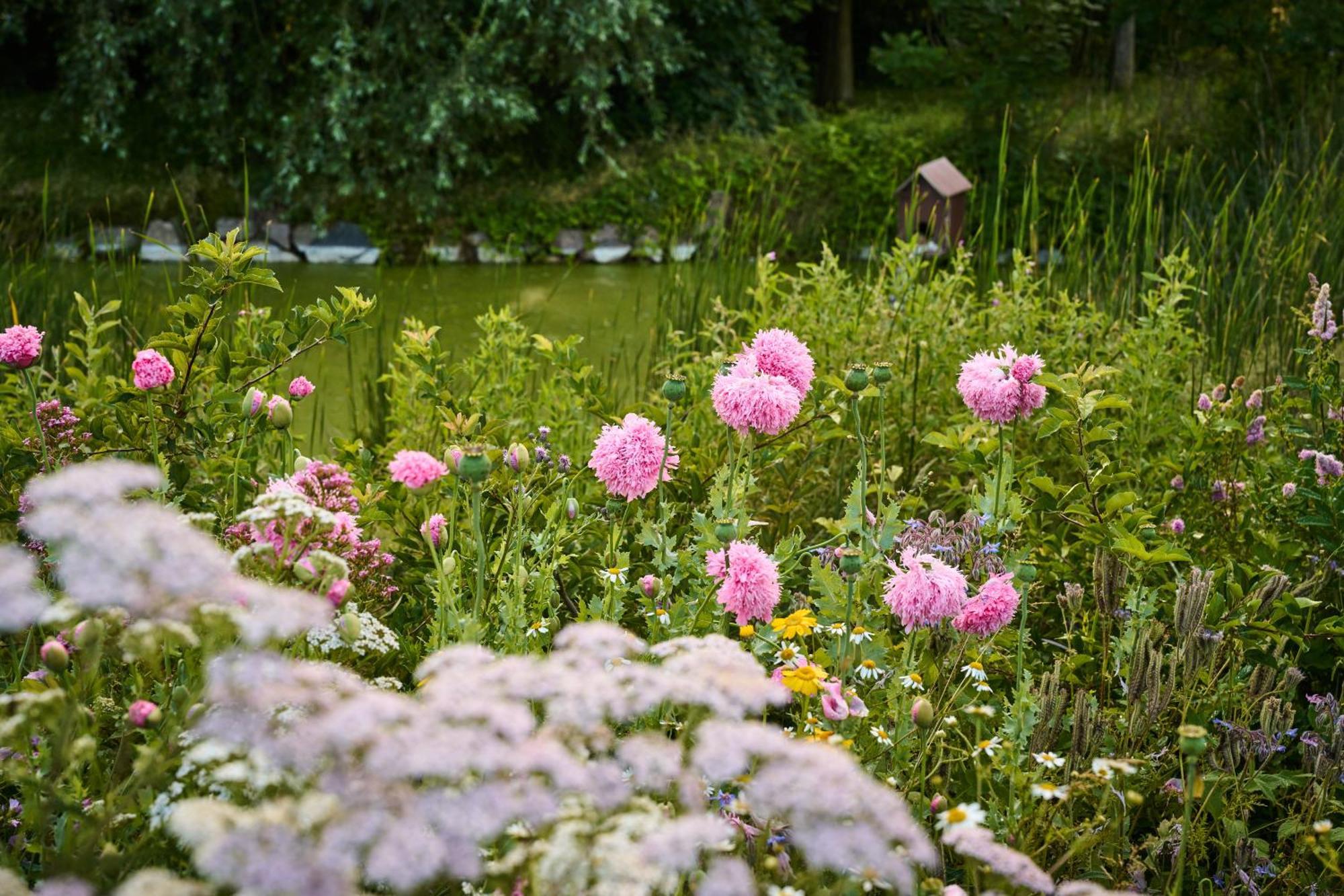 Hotel Hesselgaard Glamping à Dalby Extérieur photo